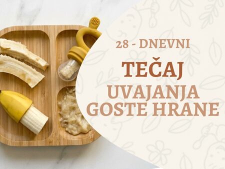 28-Dnevni tečaj uvajanje goste hrane
