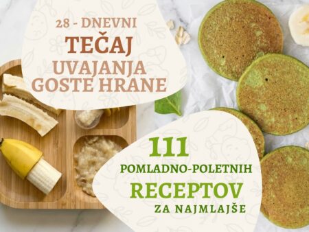 Tečaj + 111 Spomladansko-poletnih receptov